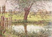 William Bell Scott Landscape with a Gate and Watermeadow (mk46) Sweden oil painting artist